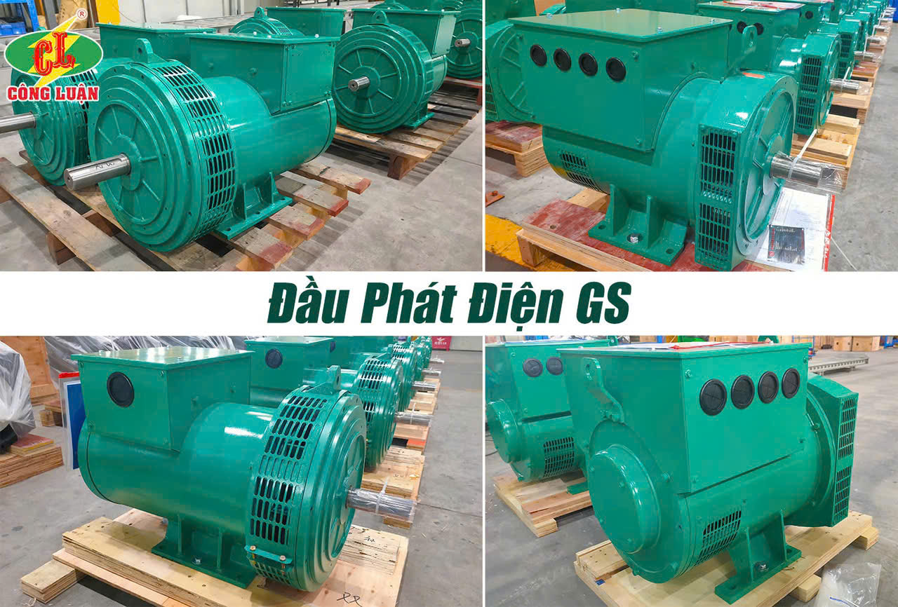 Đầu phát điện GS 10KW 12KVA 1 pha 2 bạc đạn