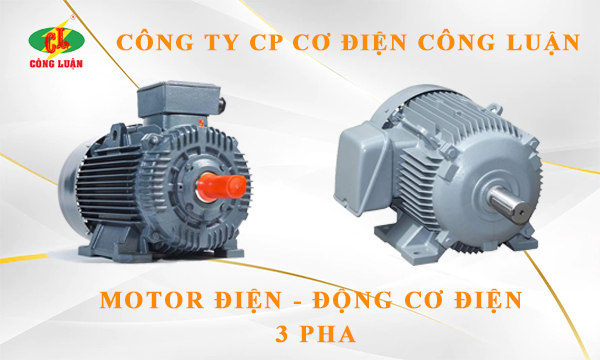 Motor điện 3 pha giá rẻ tại Công Luận